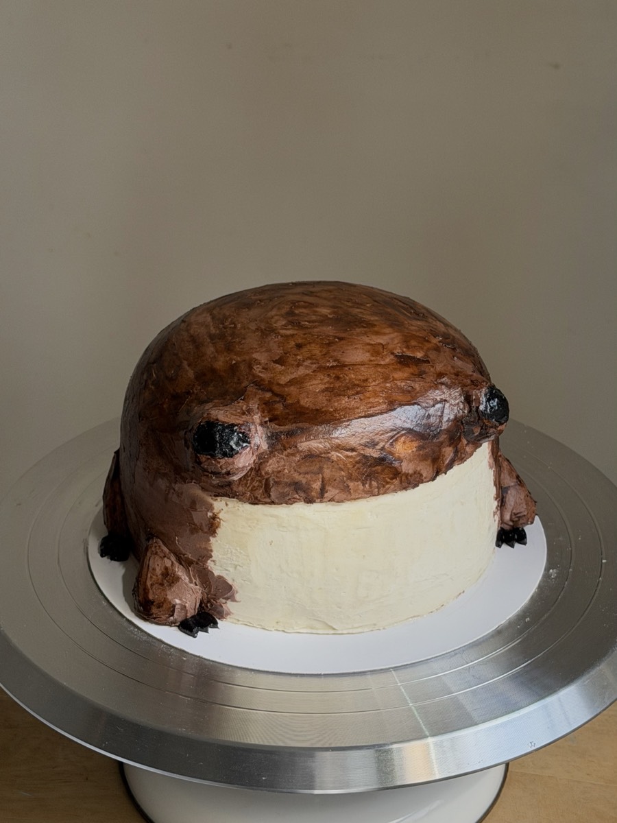 Frog cake